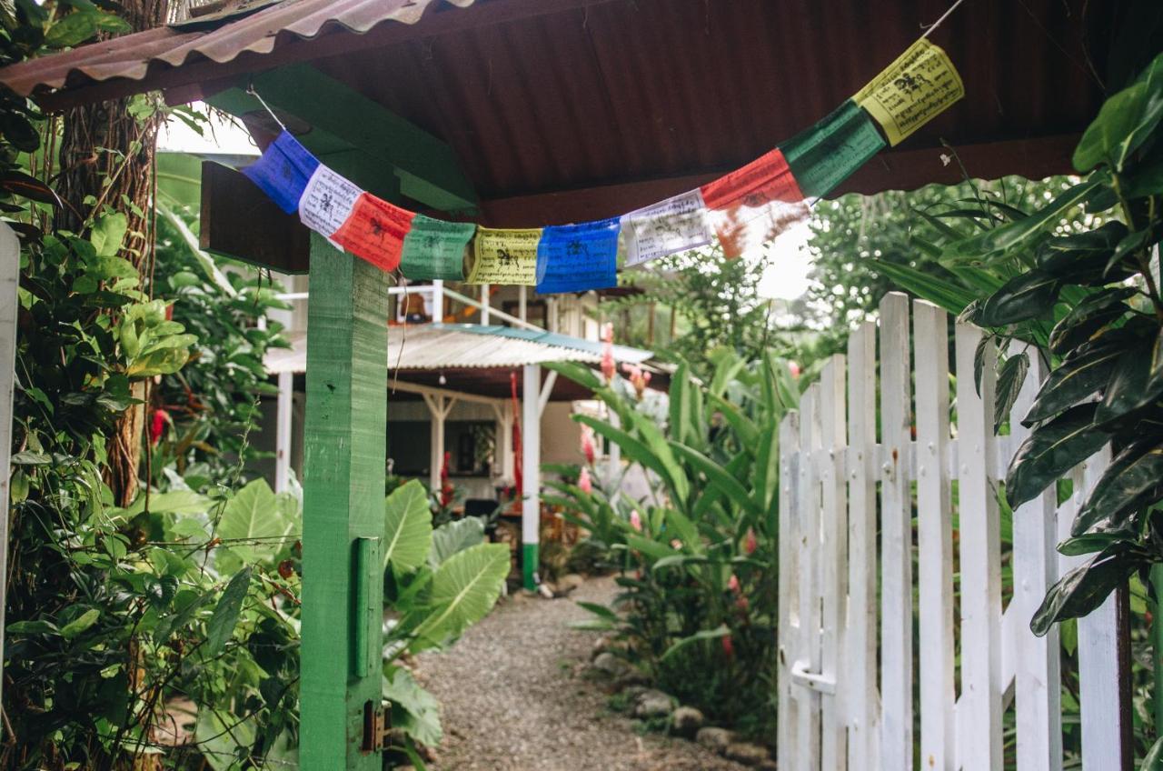 维斯塔维尔德酒店 Puerto Viejo de Talamanca 外观 照片