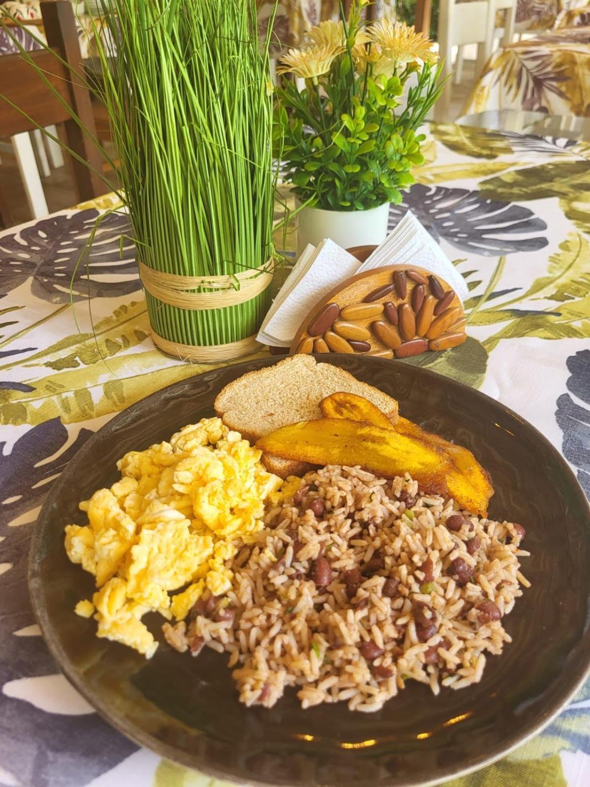 维斯塔维尔德酒店 Puerto Viejo de Talamanca 外观 照片